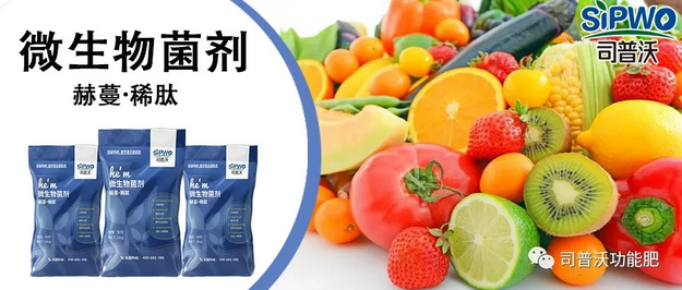 赫蔓微生物菌劑-分解毒素、改良土壤、調(diào)節(jié)生命活動(dòng)、抑制土壤病菌