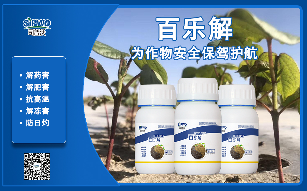 司普沃赫蔓百樂(lè)解，解凍害、解肥害、解藥害，棉花上再顯神威！
