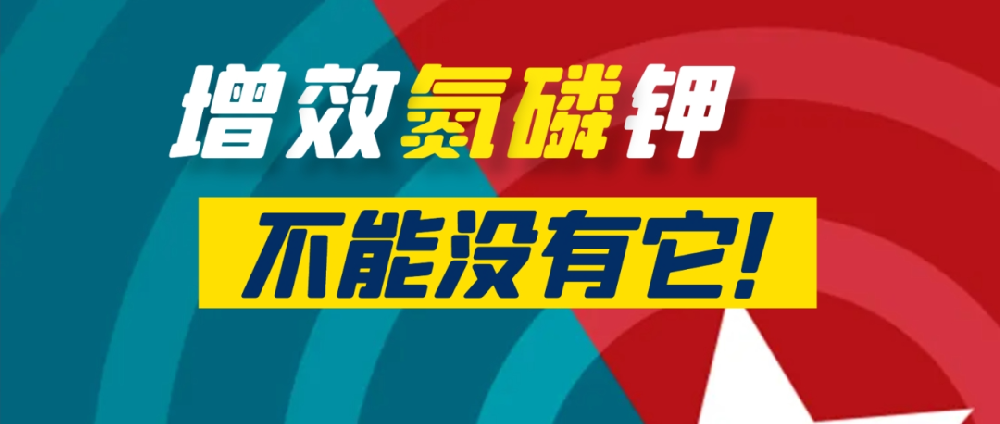 要想作物長得好，中量元素少不了！