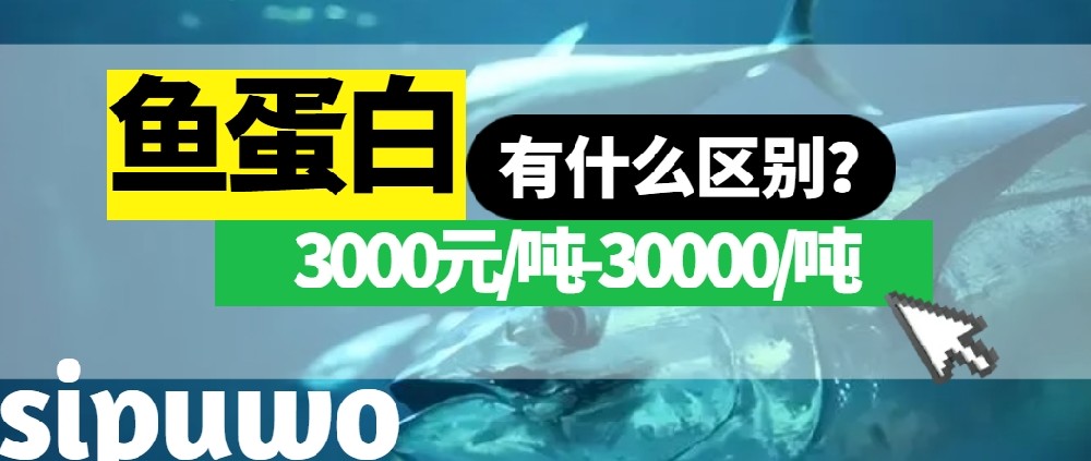 3000-30000元/噸的魚蛋白有多大差距？一篇文章告訴你！